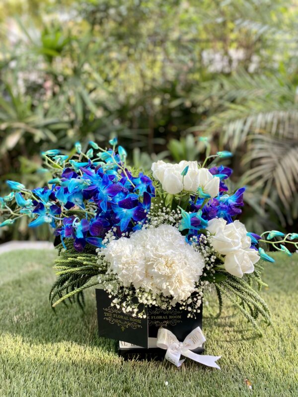 Orchid Paradise