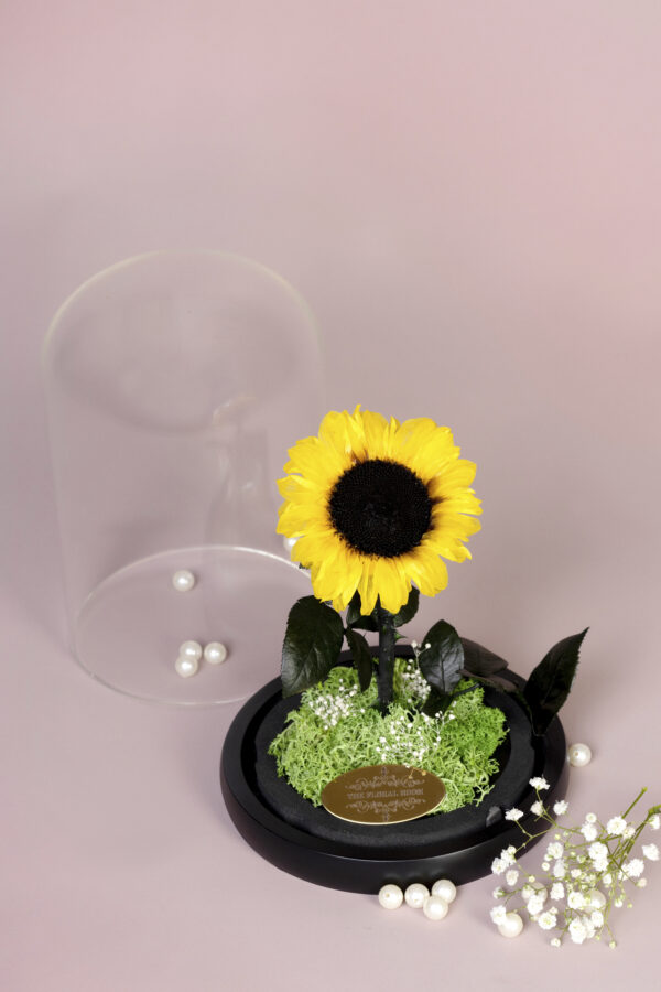 Eternal Sunflower