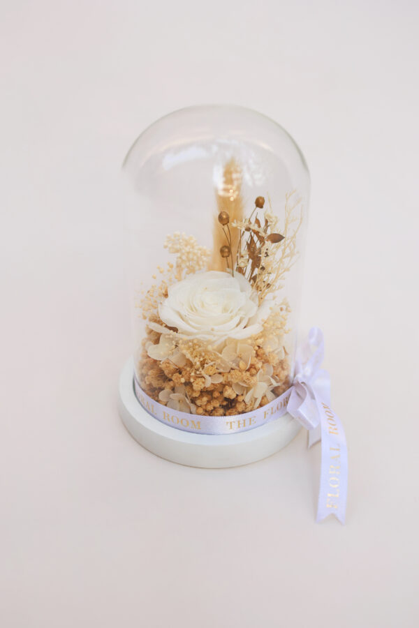Snow White Dome