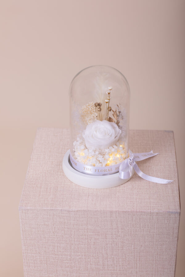 Snow White Dome